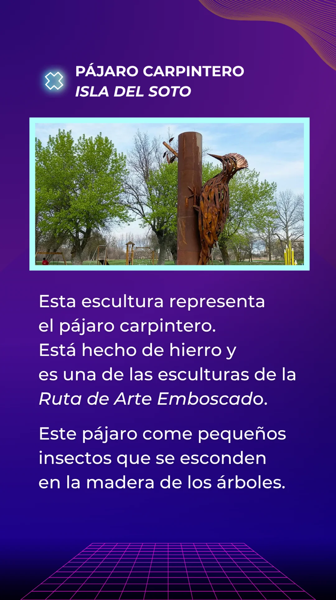 Busca el Pájaro Carpintero