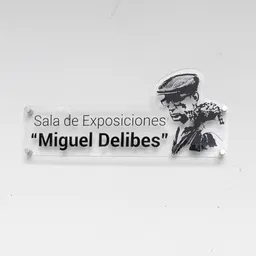 Sala Miguel Delibes